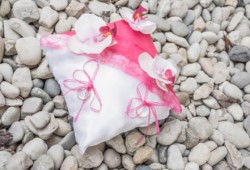 Alliances sur coussin