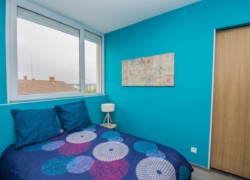 photo immobilière chambre bleue